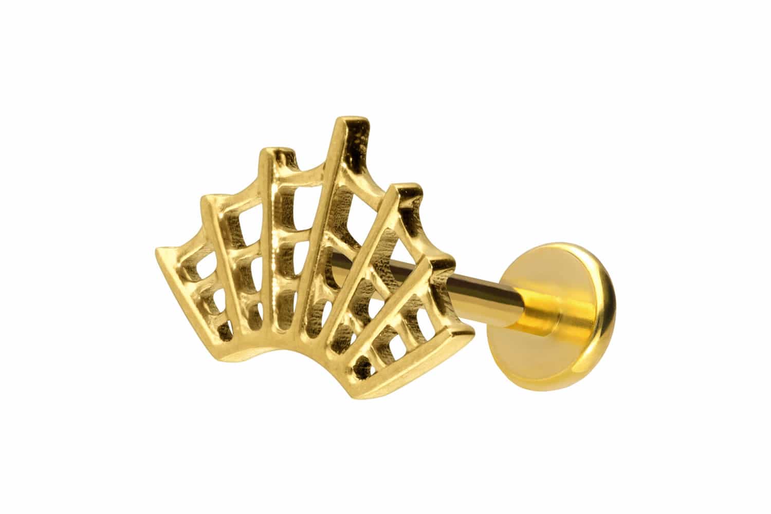 Titan Labret Piercing mit Push Fit SPINNENNETZ